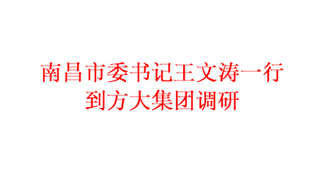为推进项目建设 加快产业发展南昌市委书记王文涛一行到杏耀集团调研